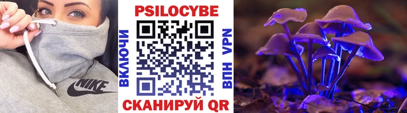Галлюциногенные грибы Psilocybine cubensis Гусиноозёрск