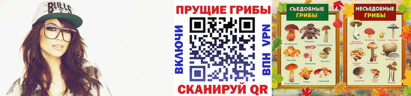 Псилоцибиновые грибы MAGIC MUSHROOMS  что такое наркотик  Гусиноозёрск 